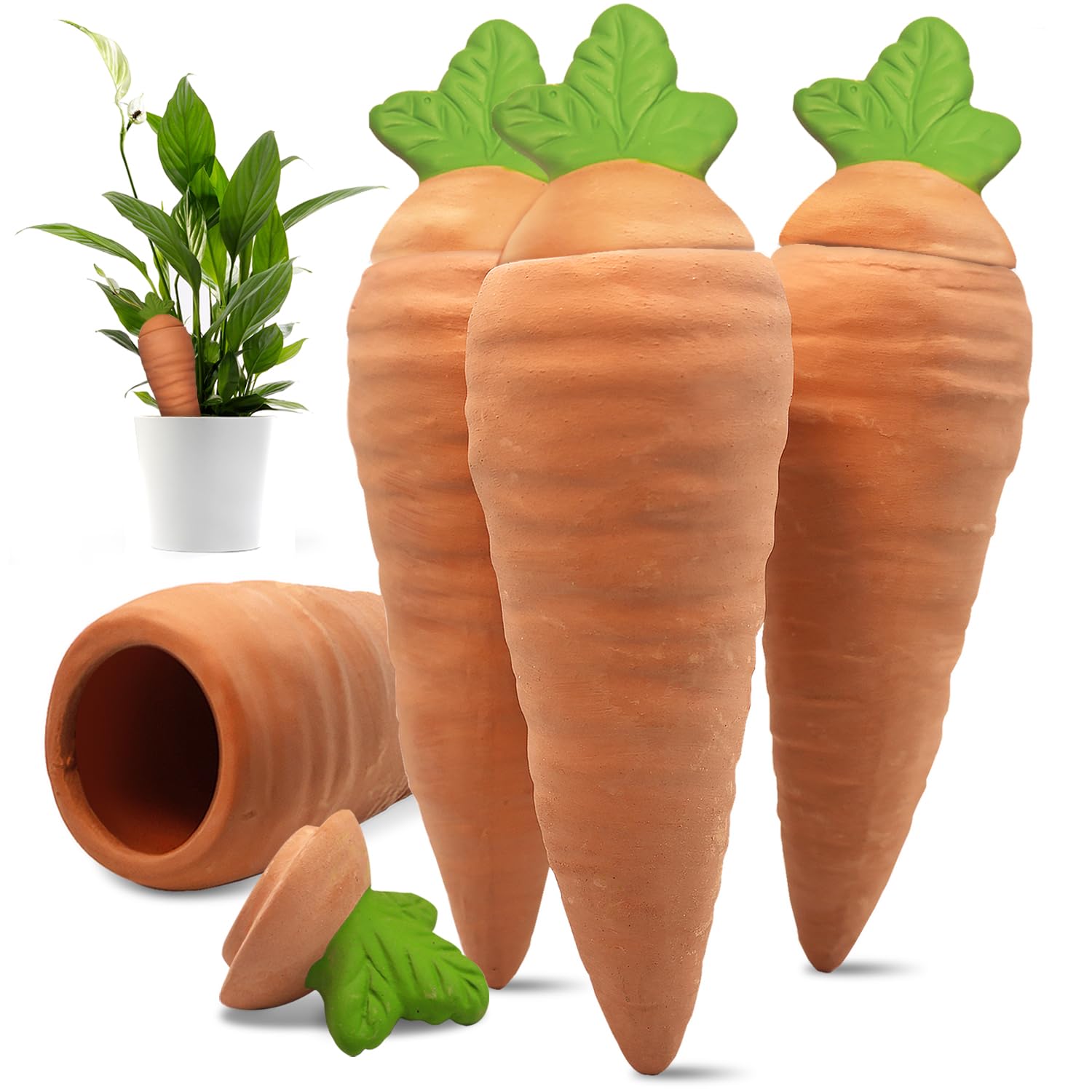 Amazon.com: Amoyls 4 pcs Terracotta Watering Spikes - Automatic